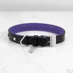 BusterPunch_Dog_Collar_Steel_Large_Front-scaled.webp