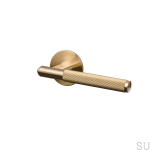 Door-handle_Fixed_Linear_Brass_A1_Web_Square-2048x2048.jpg