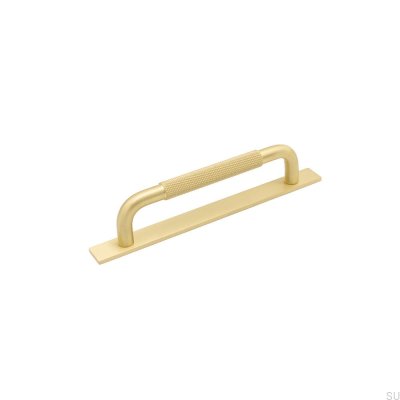 Länglicher Möbelgriff mit Helix 128 Unterlegscheibe, Gold Brushed