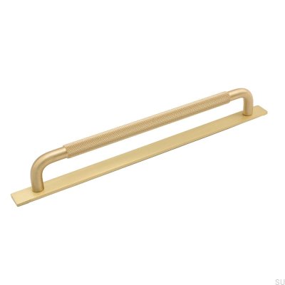 Länglicher Möbelgriff mit Spiralscheibe 224 Gold Brushed