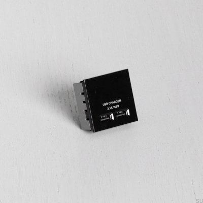 Dual-USB-Steckdosenmodul für Euro-Platte, schwarz, britischer Standard