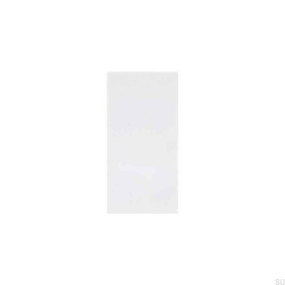 Euro-Platten-Steckdosenmodul, schwarz, britischer Standard