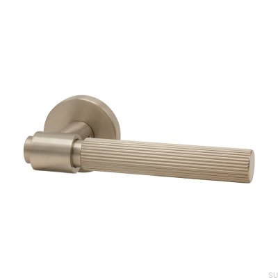 Helix Stripe 200 Türgriff Gebürstetes Silber Skandinavischer Standard
