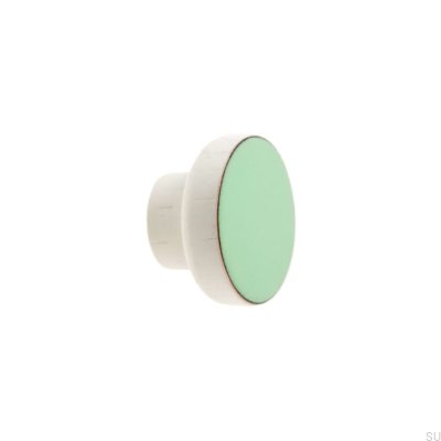 Möbelknopf Simple White 40 Holz Emaille Mint