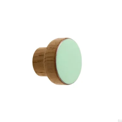 Möbelknopf Schlicht Holz Emaille Mint Farblos Halbmatt