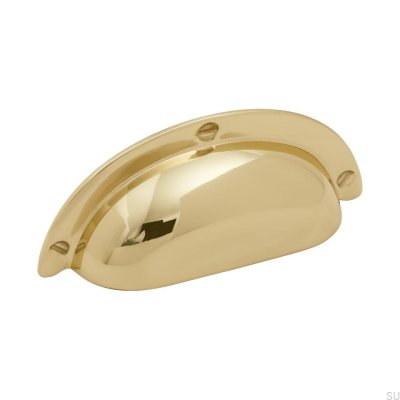 Schüssel Möbelgriff 3922 64 Poliertes Gold