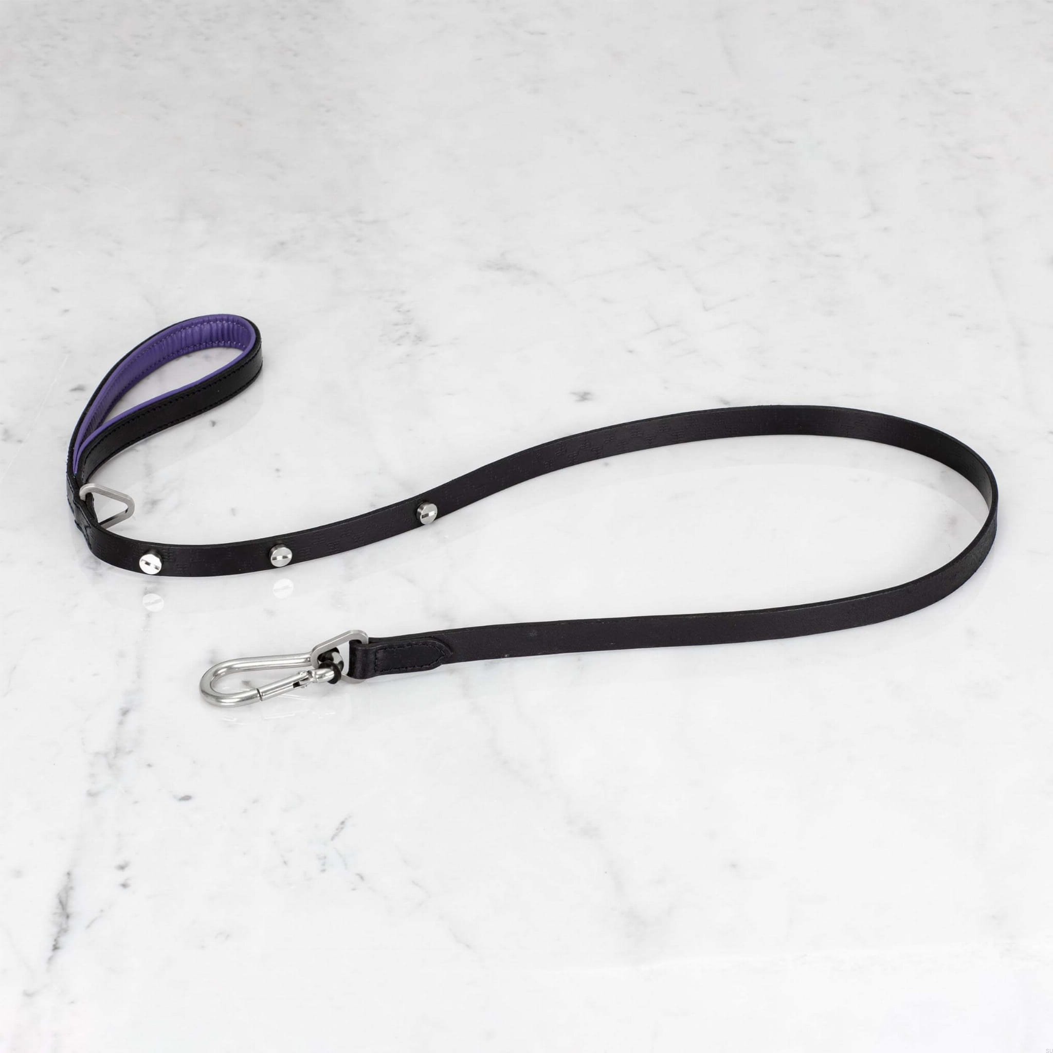 BusterPunch_Dog_Lead_Steel_Small.jpg