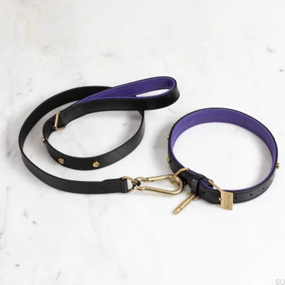 Cross 27 Leder-Hundeleine, schwarz mit goldenen Details