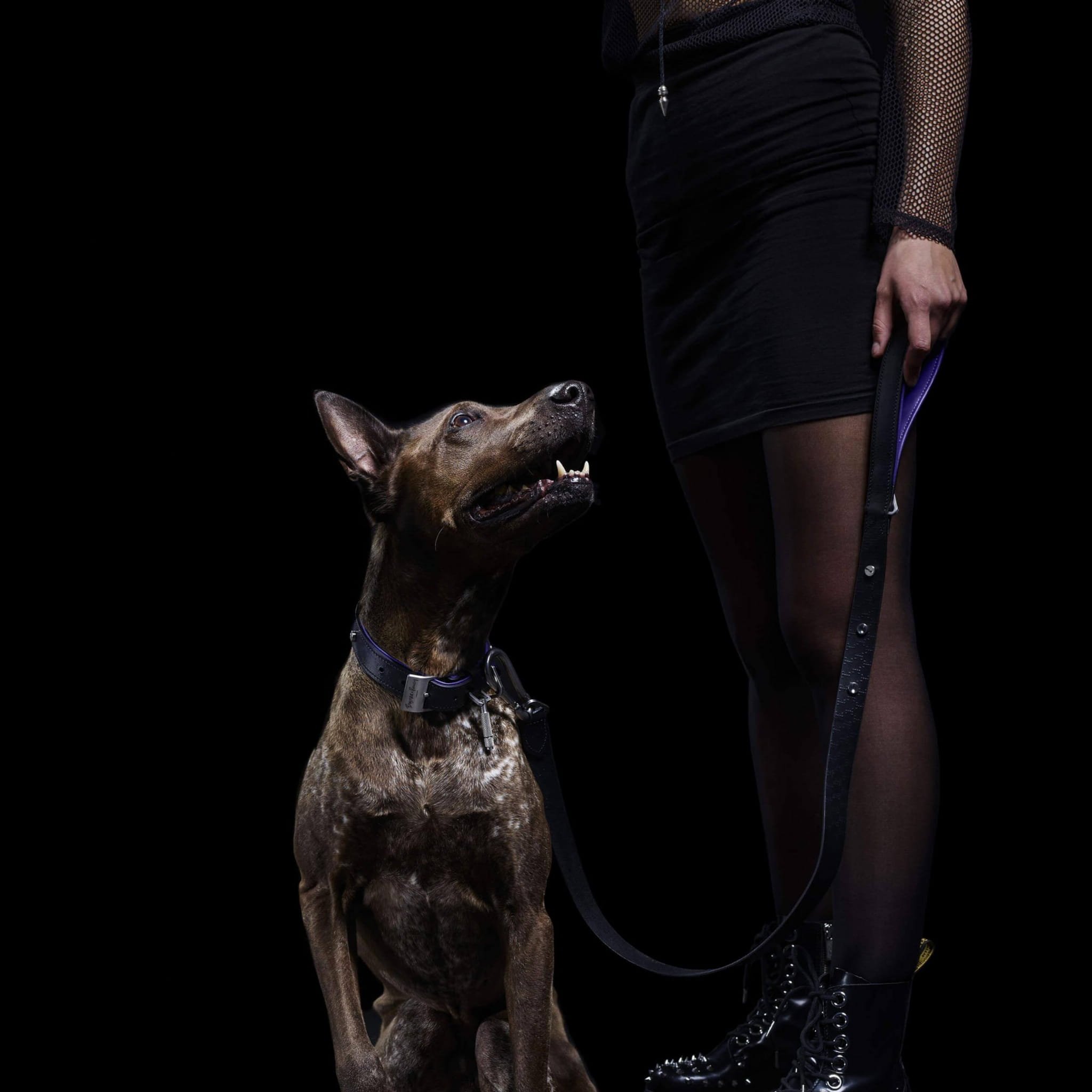 2000x2000_Butch_1.jpg