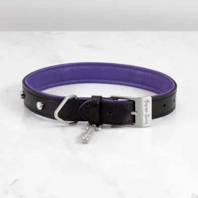 Hundehalsband XL Leder und Stahl