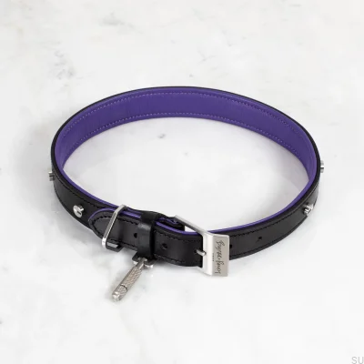 Hundehalsband XS Leder und Stahl