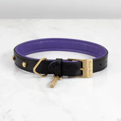 Hundehalsband XL Leder Gold