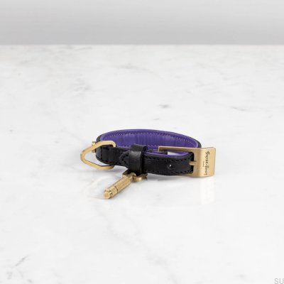 Hundehalsband XS Leder Gold