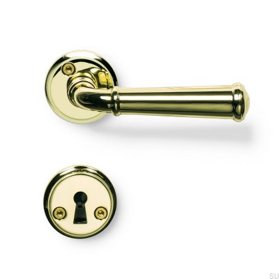 Hampton Türgriff, poliertes Gold, skandinavischer Standard