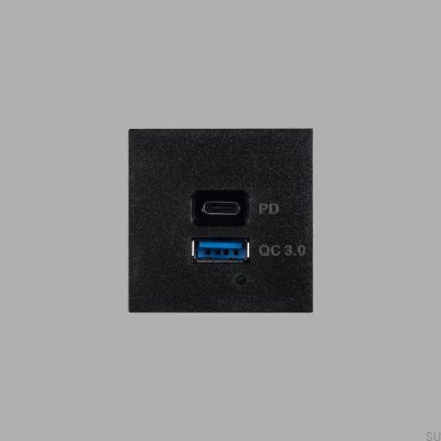 USB-A+C-Schnelllademodul, Stahl, Schwarz, Europäischer Standard