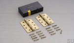 Hinge_102x76x3_mm_Brass_Pair_Unboxing_Web.jpg