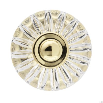 Möbelknopf H119 Kunststoff Gold