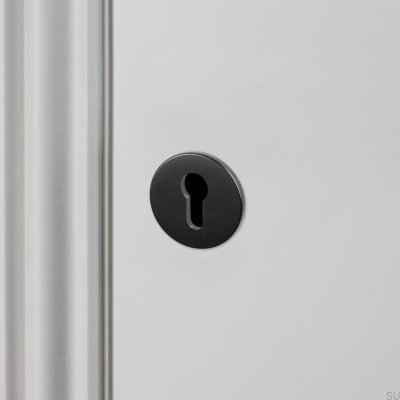 Euro-Zylinderschild 35 mm Stahl Schwarz Britischer Standard