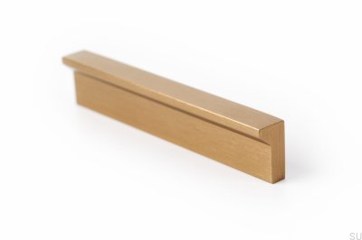 Angle 100 länglicher Möbelgriff in Gold Brushed