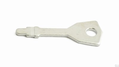 Schlüssel für 6414 Silber (2 Stück)