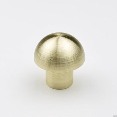 Marbelo 03 Möbelknopf aus gebürstetem Messing
