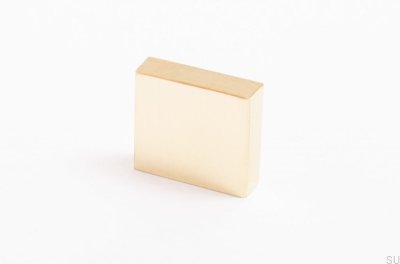 Clean Cut 22 Möbelgriff Messing poliert unlackiert