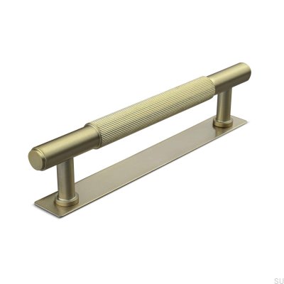 Salo Stripe 128 länglicher Möbelgriff aus gebürstetem Gold