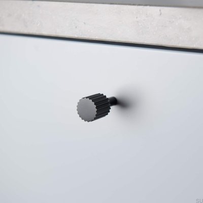 Möbelknopf Smögen 20 Metall Mattschwarz (2 Stück)