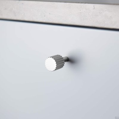 Smögen 20 silberner Möbelknopf (2 Stück)