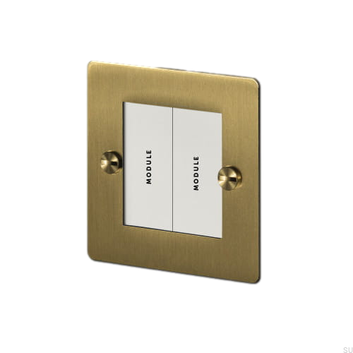 1g_brassplate_brassbutt_doubleinsert-text_2.jpg
