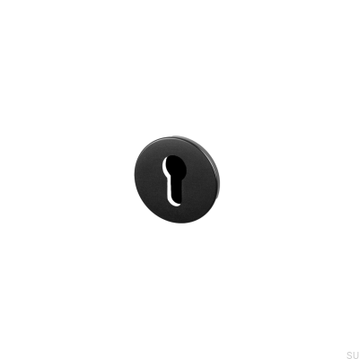 Euro-Zylinderschild 35 mm Stahl Schwarz Britischer Standard