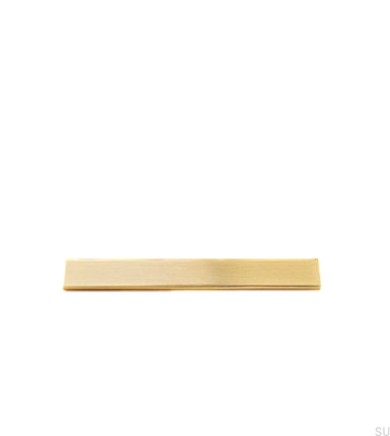 Hammer 32 Länglicher Möbelgriff aus gebürstetem Metall in Gold