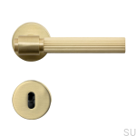dorrh-helix-stripe-mass_1.jpg