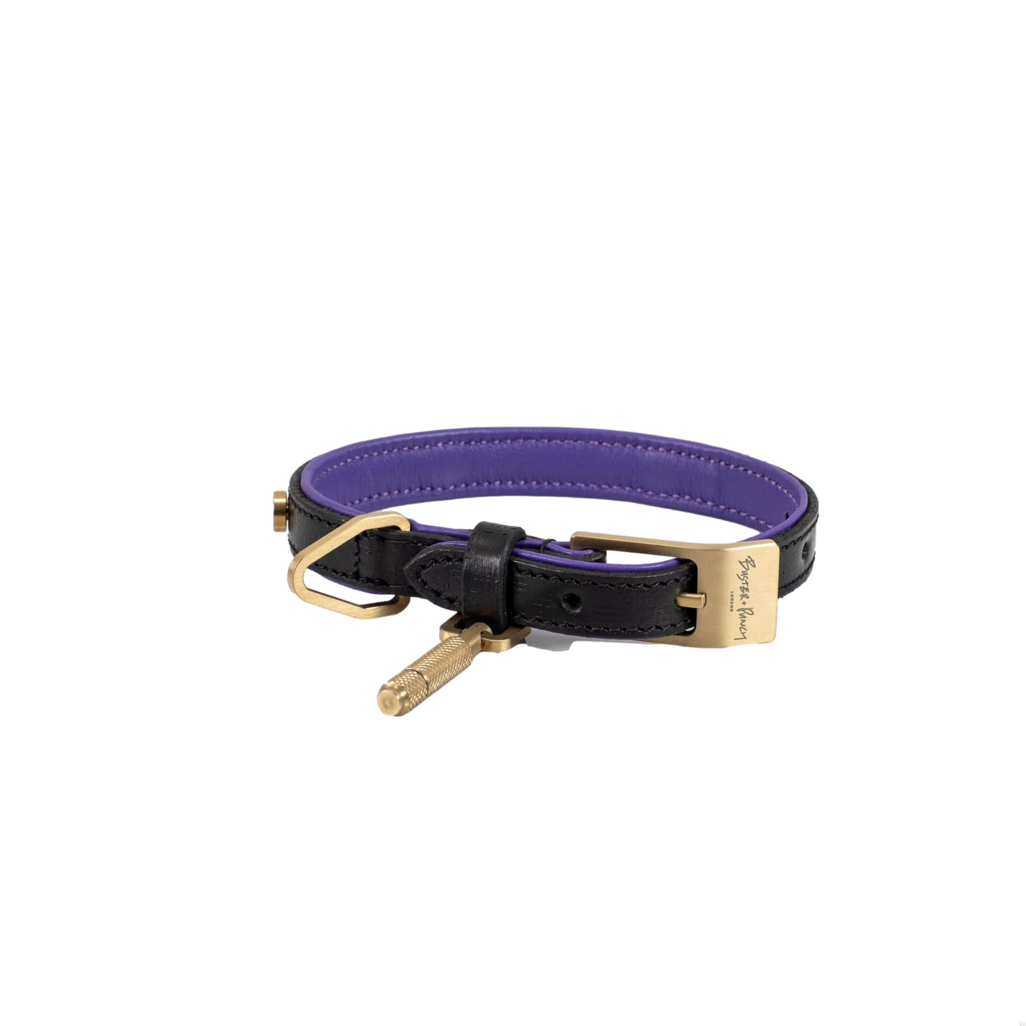 BusterPunch_Dog_Collar_Brass_Small_Front.jpg