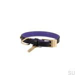 BusterPunch_Dog_Collar_Brass_Small_Front.jpg