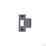 Strike_Plate_2Inch_GunMetal_web-scaled.jpg