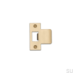Strike_Plate_2_5_Inch_Brass_web-scaled.jpg