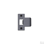 Strike_Plate_2_5_Inch_GunMetal_web-scaled.jpg