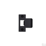 Strike_Plate_2_5_Inch_Black_web-scaled.jpg