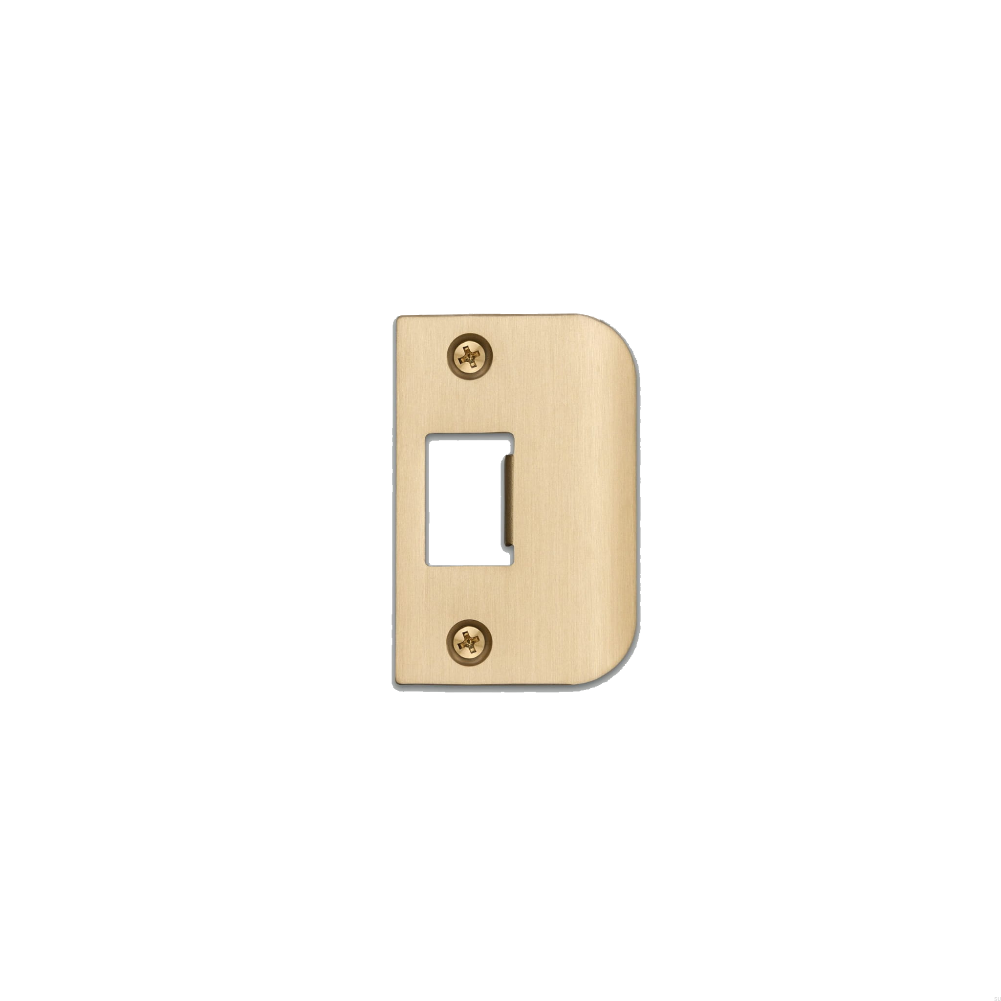 Strike_Plate_D_Plate_Brass_web-scaled.jpg