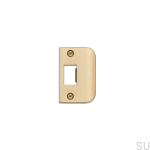 Strike_Plate_D_Plate_Brass_web-scaled.jpg