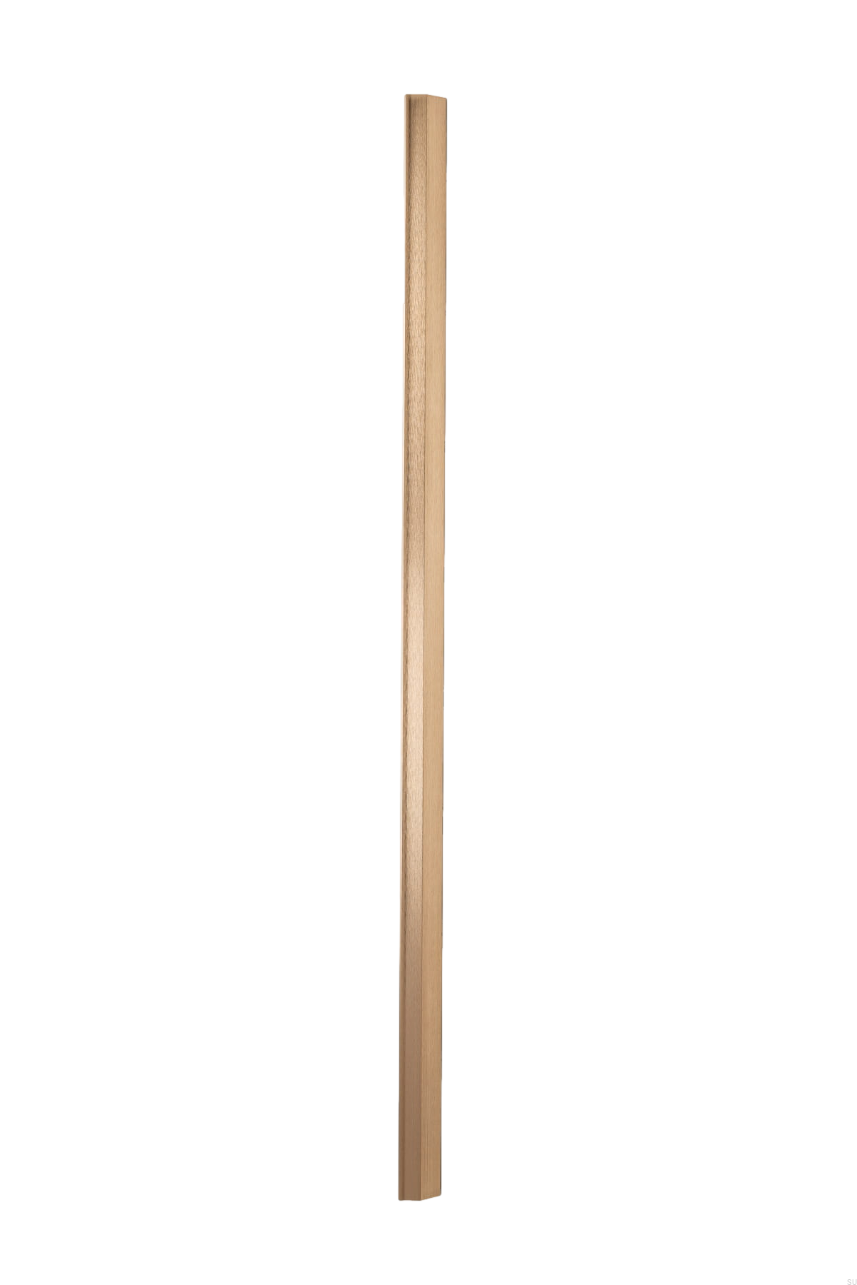 J5D_3215Web.jpg