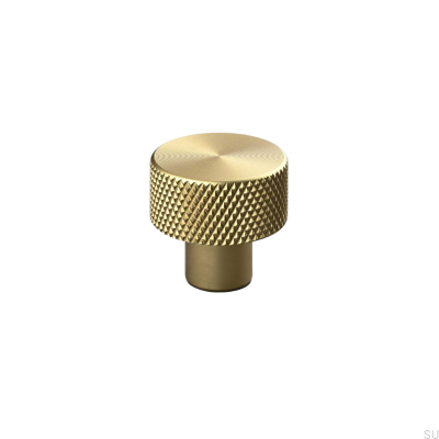 Rimini 20 Möbelknopf aus gebürstetem Gold