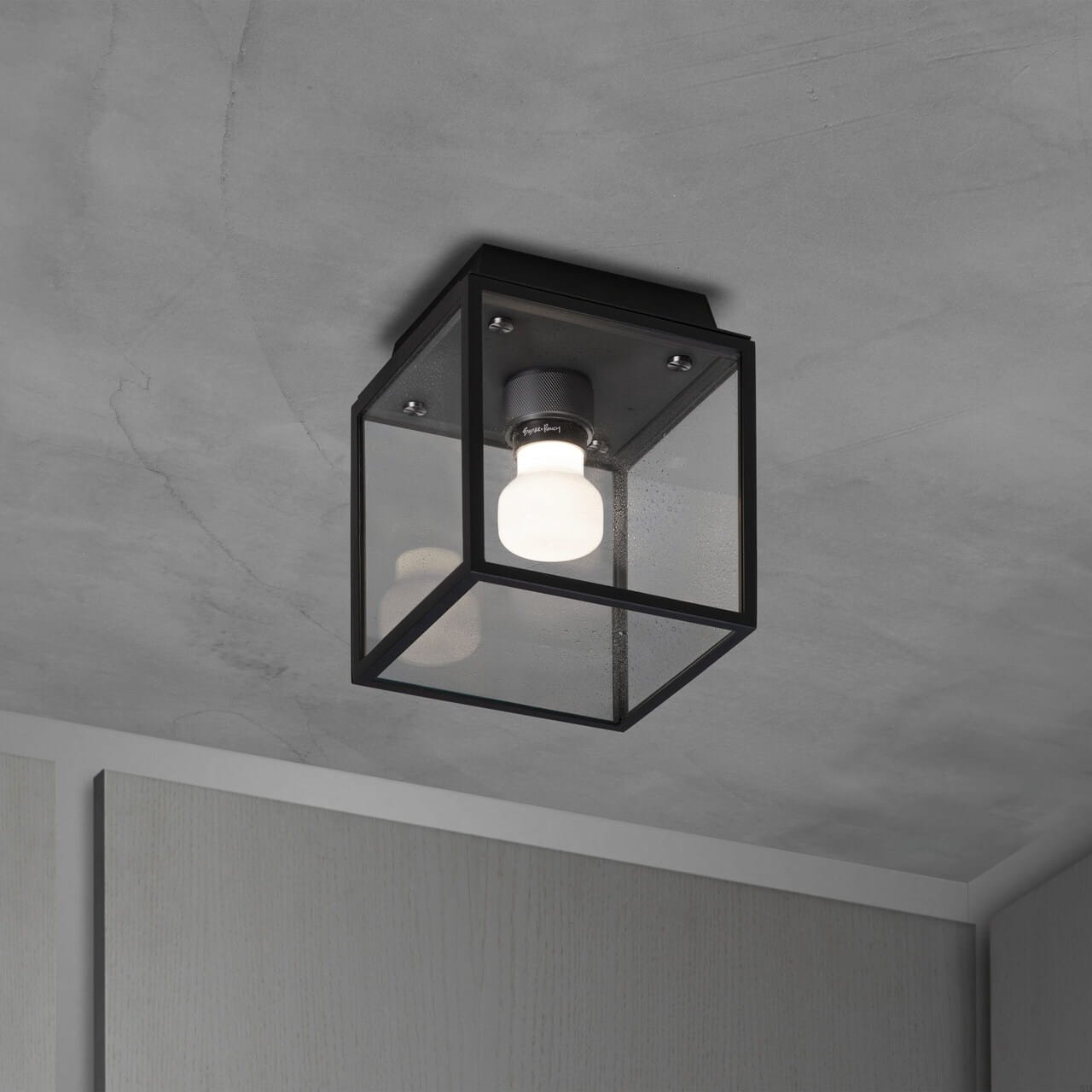 BP_Caged_Wet_Ceiling_Black_Gun_Metal_Main_Sprayed_Web-scaled_Easy-Resize.com (1).jpg