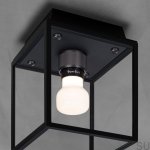 BP_Caged_Wet_Ceiling_Black_Gun_Metal_Detail_Web-scaled_Easy-Resize.com (1).jpg