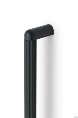 Riss Big 960 länglicher Möbelgriff, Aluminiumgrün