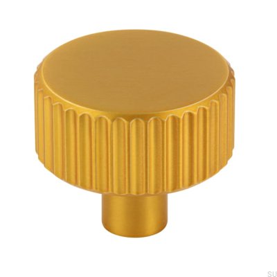 Möbelknopf 2595 aus gebürstetem Goldmetall