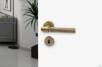 Helix 200 Türgriff Metall Antikbronze Modulares Schloss