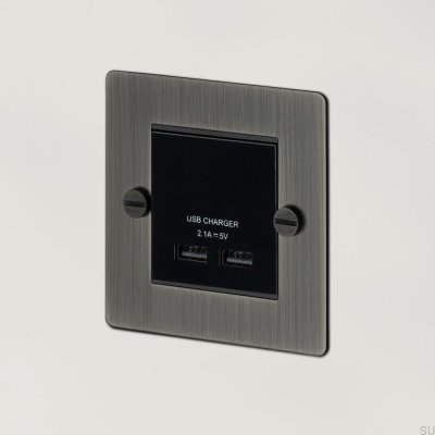 Dual-USB-Steckdosenmodul für Euro-Platte, weiß, britischer Standard