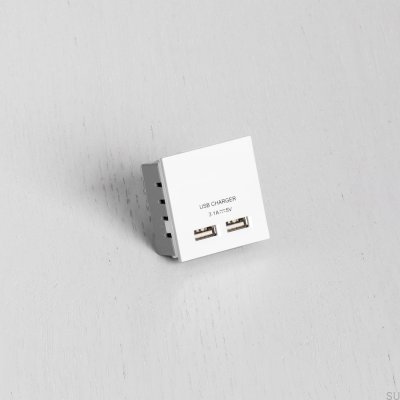 Dual-USB-Steckdosenmodul für Euro-Platte, weiß, britischer Standard